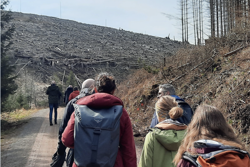 Gruppe wandert durch Waldlandschaft mit kahlen Bäumen