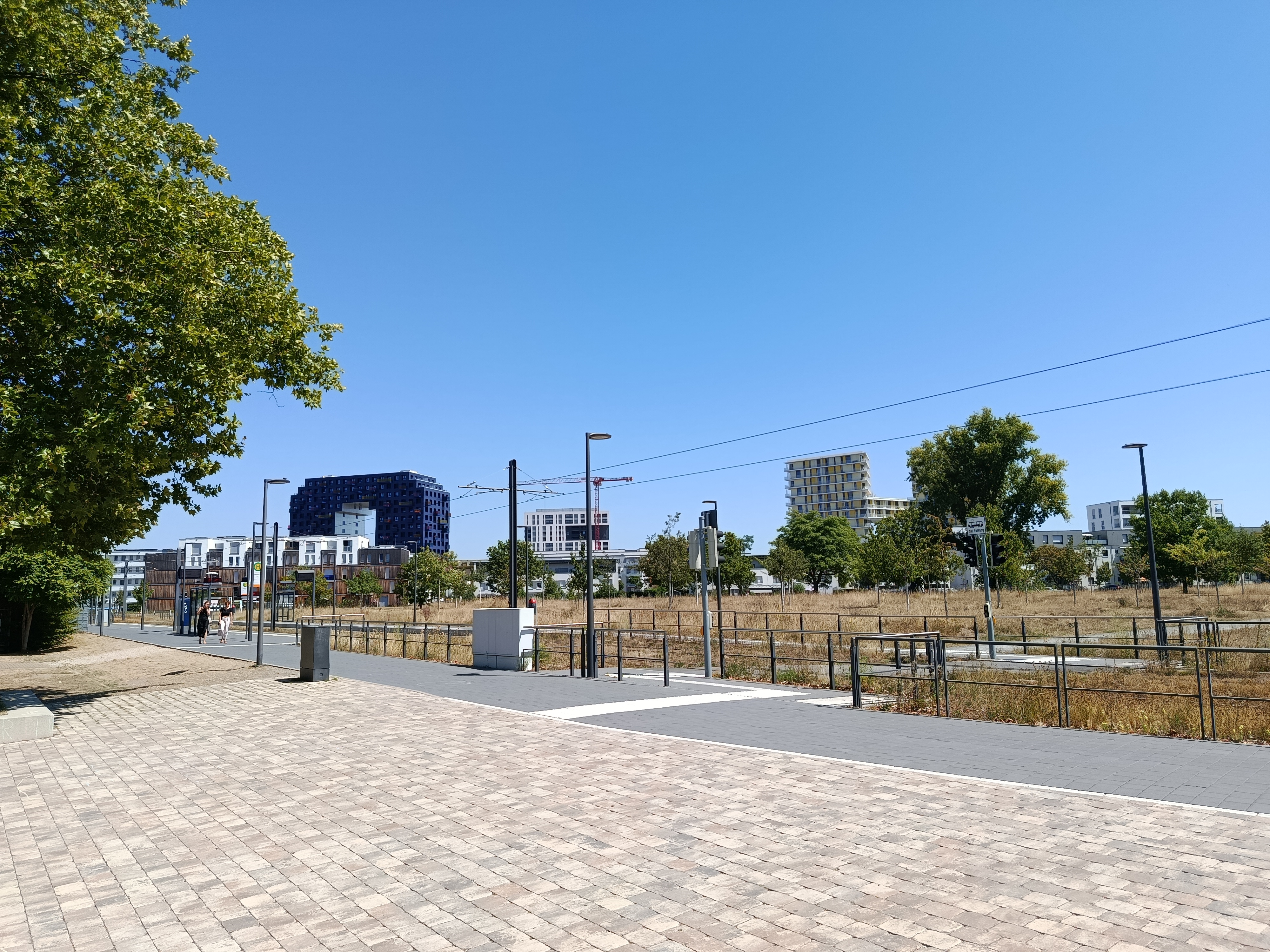 Franklin_BN_c_TKasischke_01